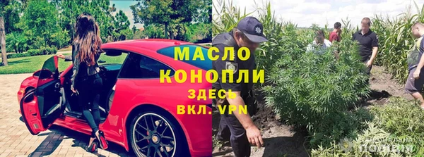 ПСИЛОЦИБИНОВЫЕ ГРИБЫ Алексин