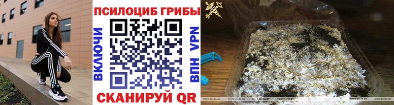 Псилоцибиновые грибы мицелий цены Ленинск